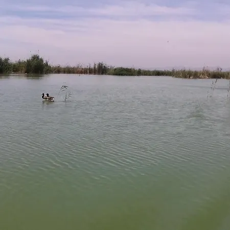 公寓 Alex And Renate *